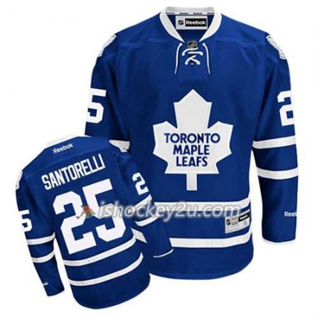 Reebok Mænd NHL Toronto Maple Leafs Trøje Mike Santorelli #25 Hjemme Blå