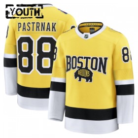 Børn NHL Boston Bruins Trøje Fanatics NHL Stadium Series Premium David Pastrnak 2025-26 Gold
