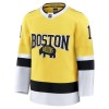 Mænd NHL Boston Bruins Trøje Fanatics NHL Stadium Series Premium Jeremy Swayman 2025-26 Gold